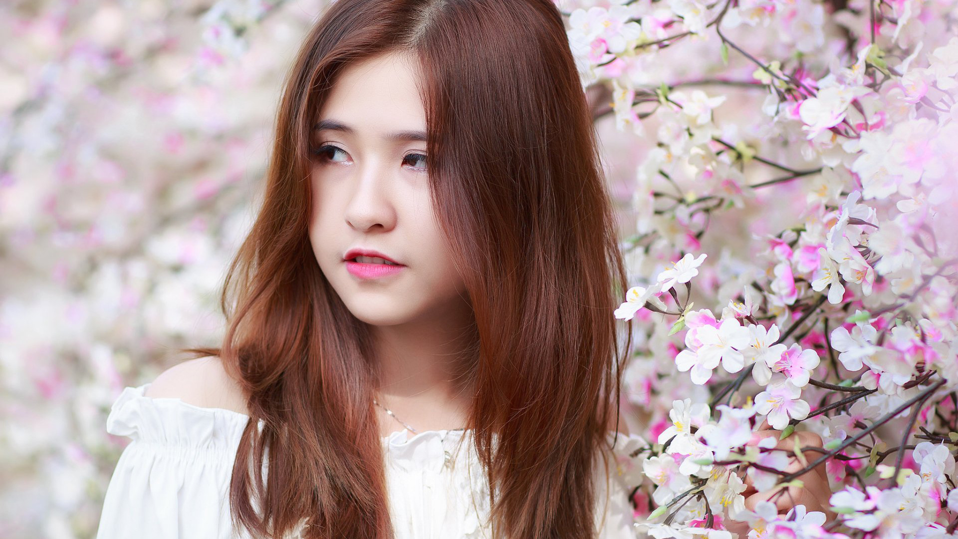 Pure Media Vol. 180 Jia